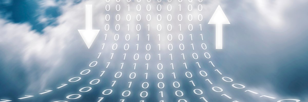 SearchDataManagement article thumbnail